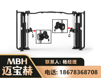 阳江大飞鸟训练器