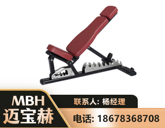 阳江可调哑铃椅