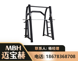 阳江史密斯机